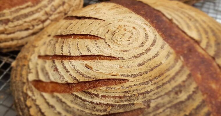 Why sourdough bread is good for you