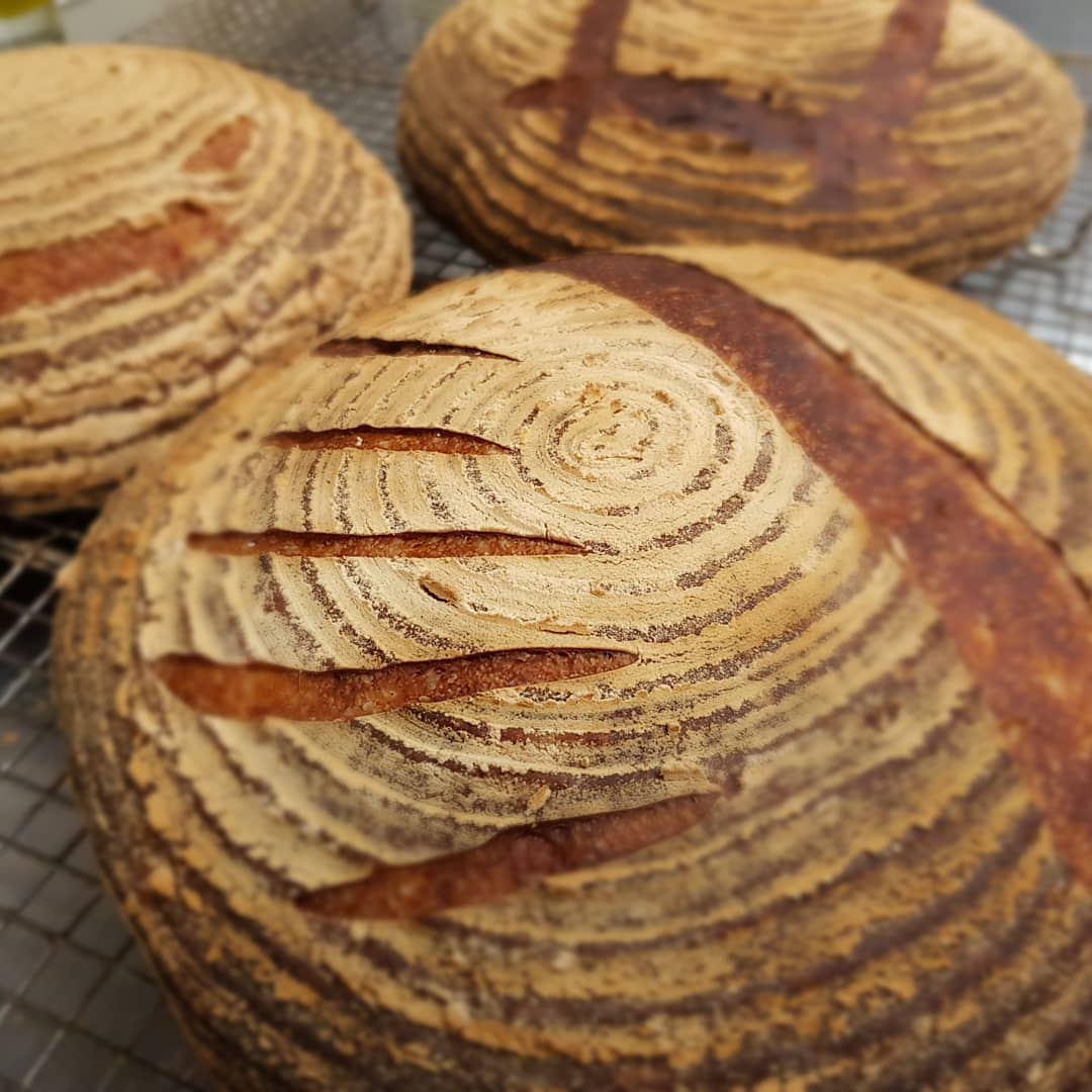 Why sourdough bread is good for you