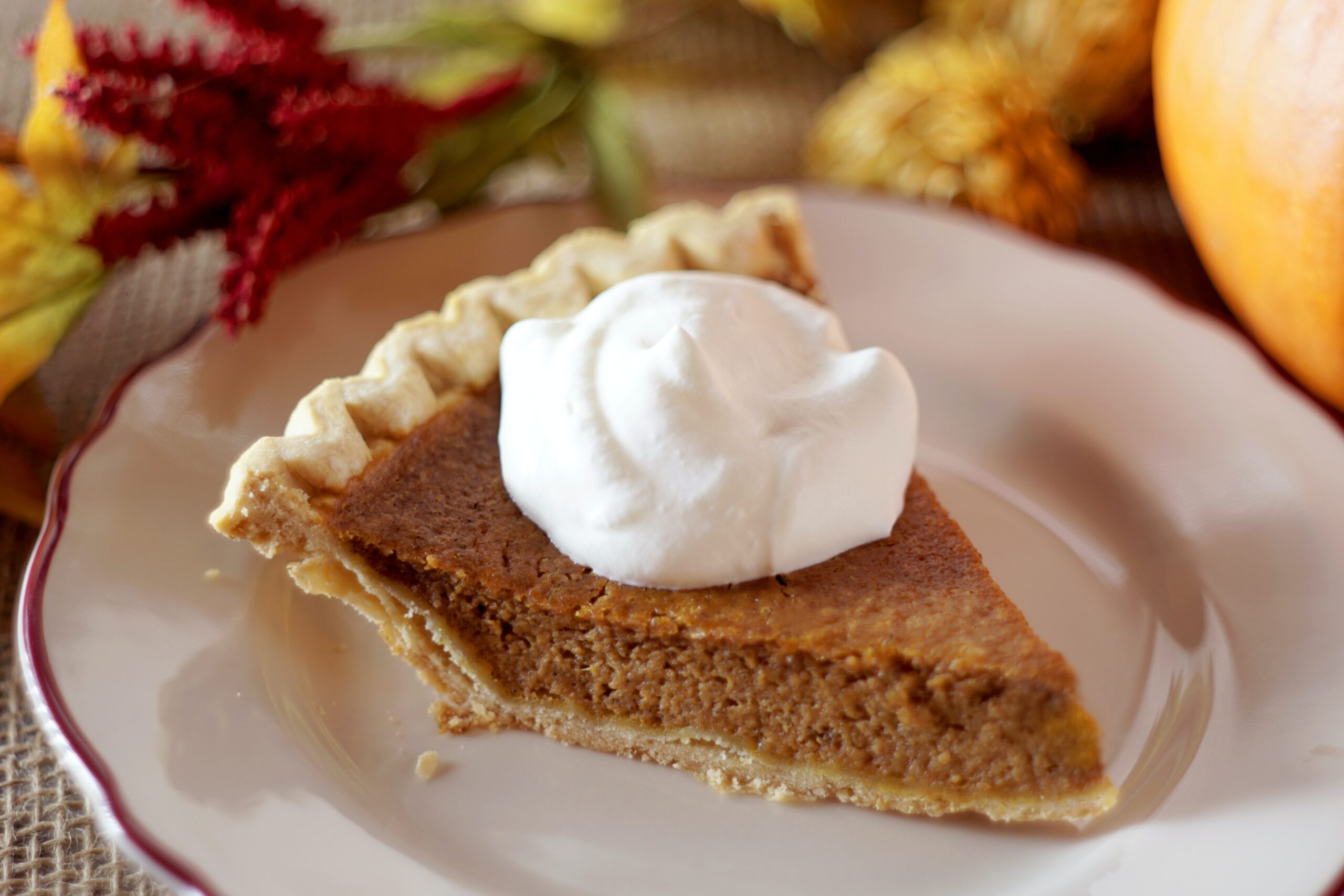 The History of Pumpkin Pie