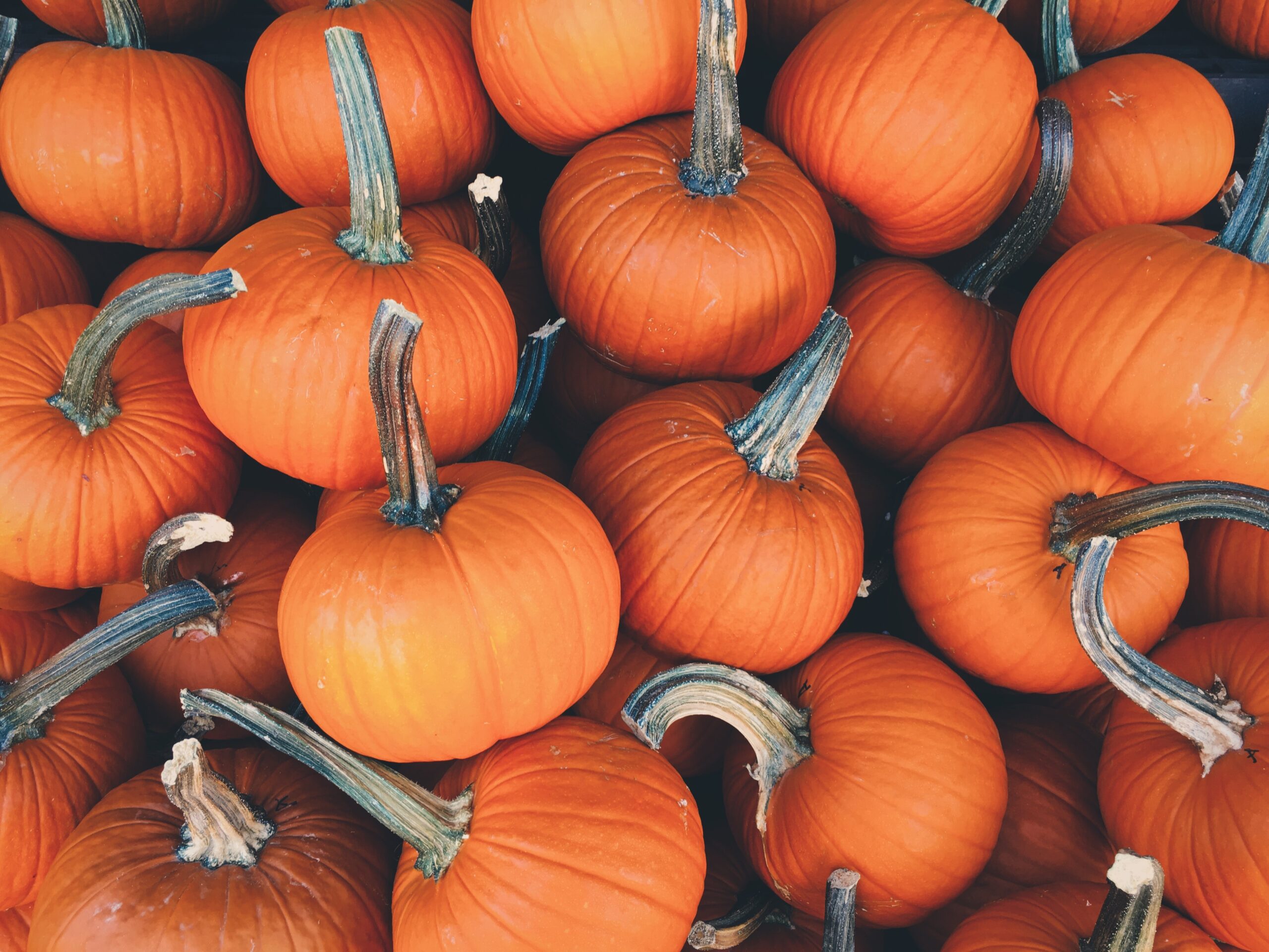 How to roast pumpkin seeds