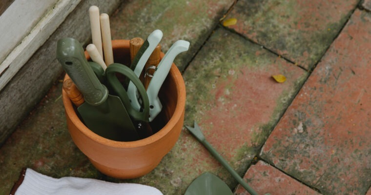 Help us clear up our back yard