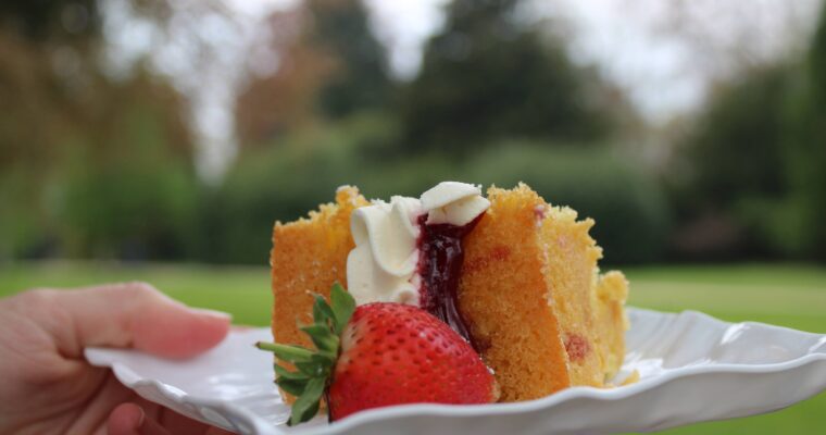 Picnic perfect cakes