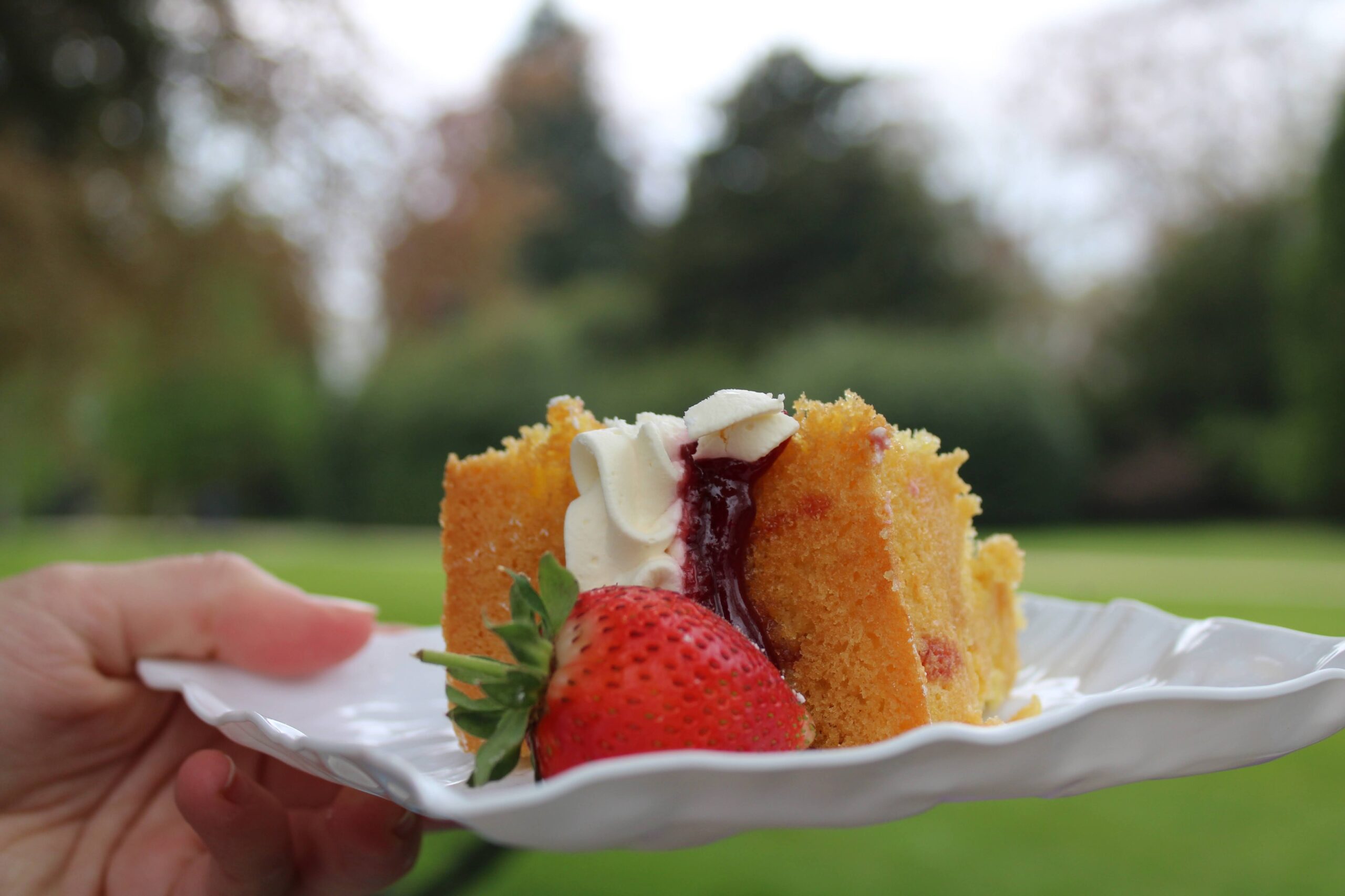 Picnic perfect cakes