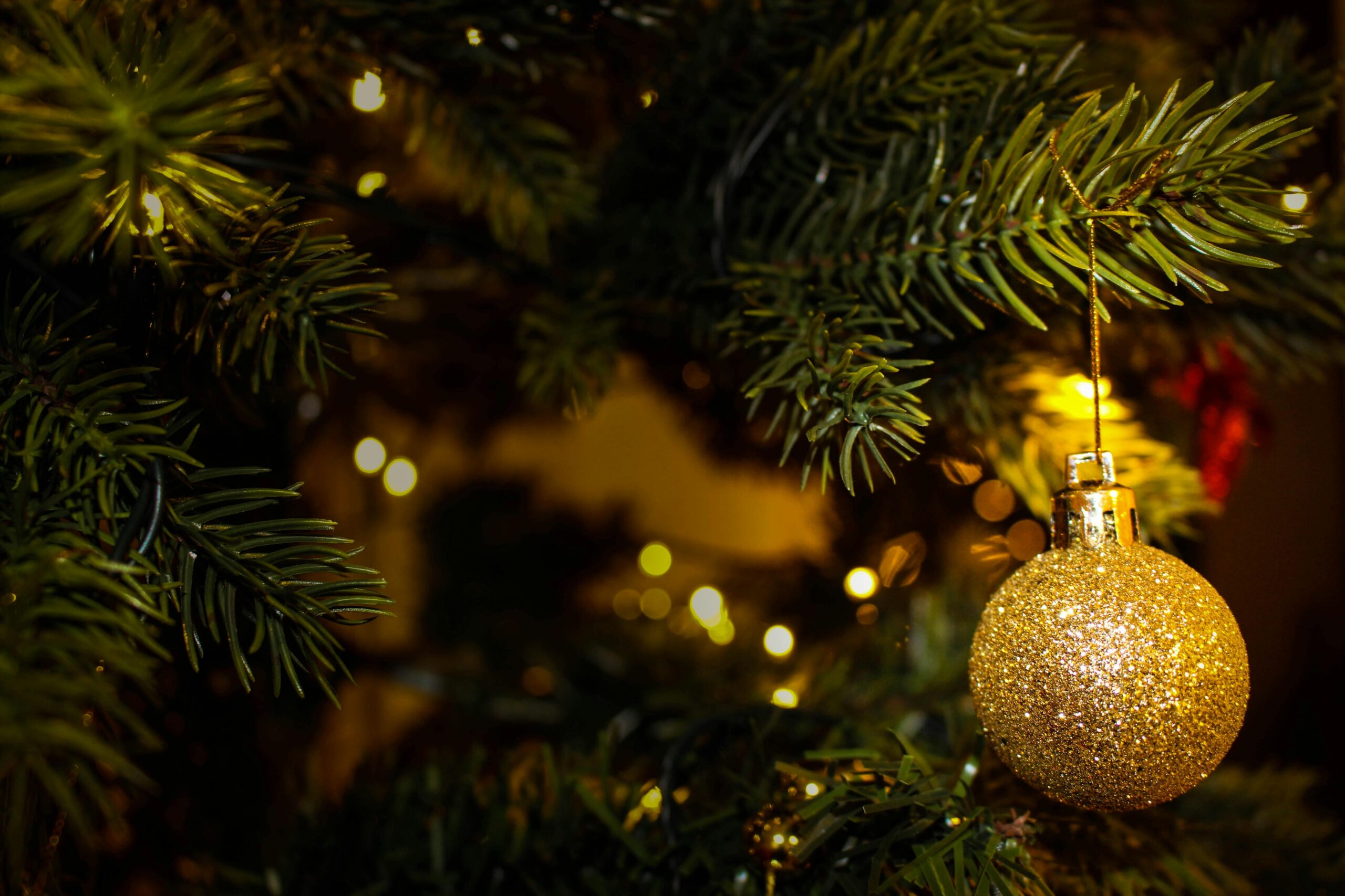 Yule love these tips!