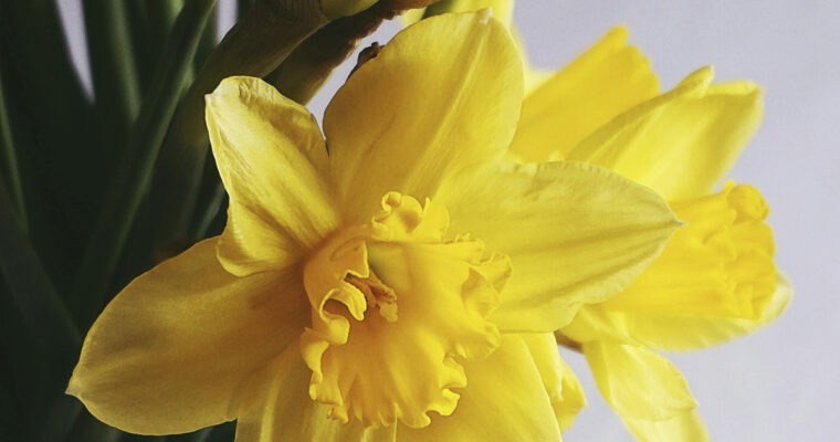 OUR EASTER OPENING HOURS