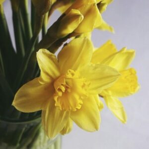 OUR EASTER OPENING HOURS