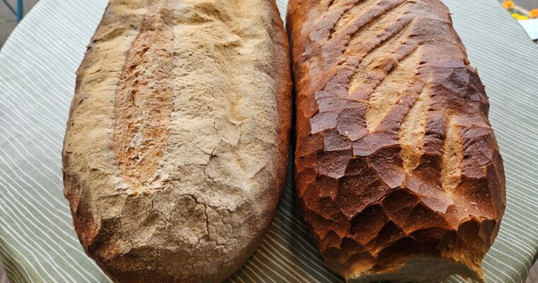Introducing our new London bloomer