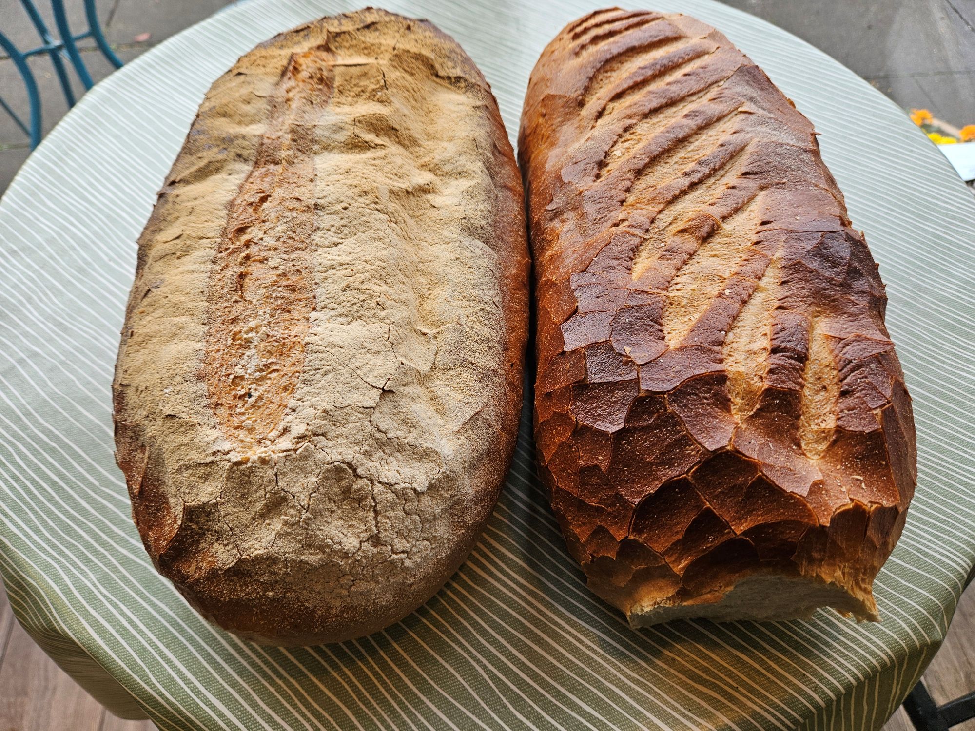 Introducing our new London bloomer